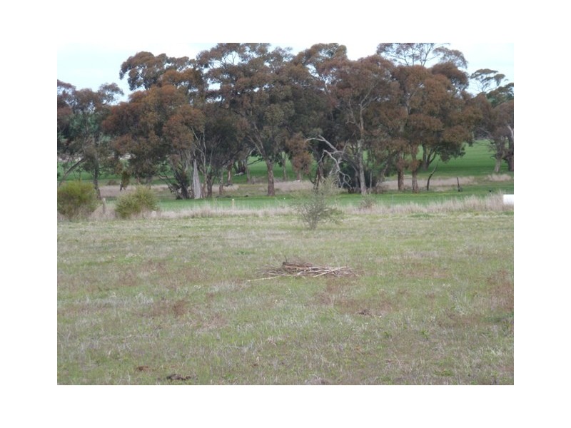 Lot 381 Slate Quarry Road, Mintaro SA 5415