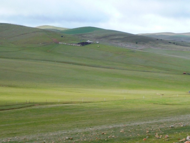 * 297.6ha Whitings 735.5acs, Jamestown SA 5491