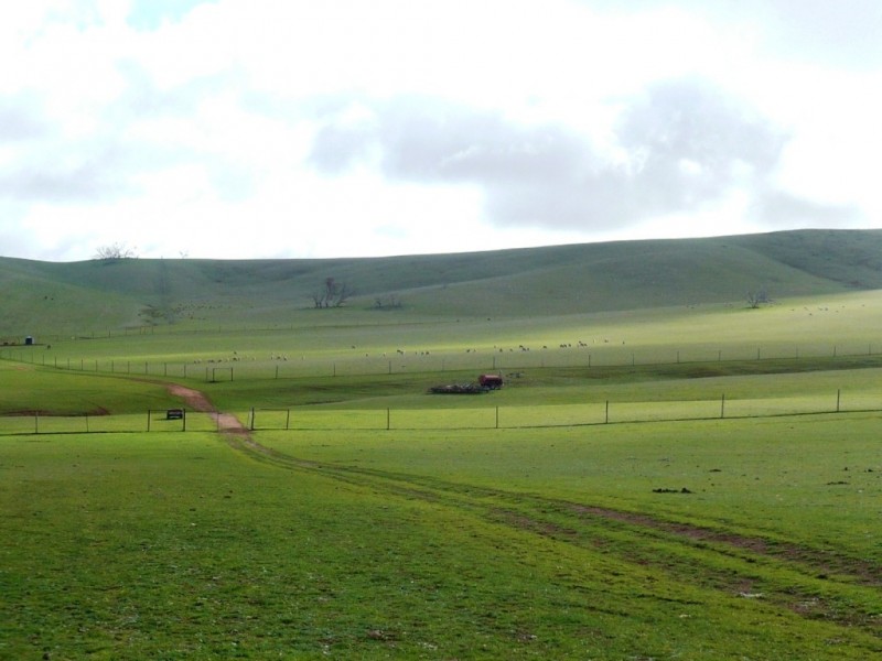 * 297.6ha Whitings 735.5acs, Jamestown SA 5491