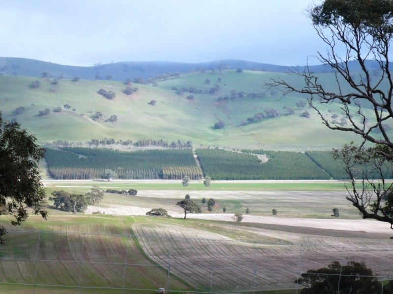 * 297.6ha Whitings 735.5acs, Jamestown SA 5491