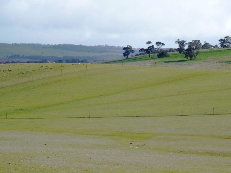 * 297.6ha Whitings 735.5acs, Jamestown SA 5491