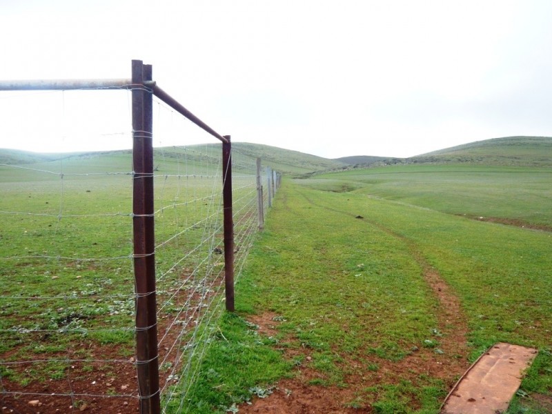 * 297.6ha Whitings 735.5acs, Jamestown SA 5491