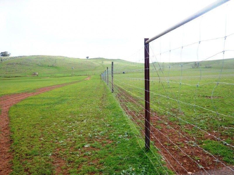 * 297.6ha Whitings 735.5acs, Jamestown SA 5491