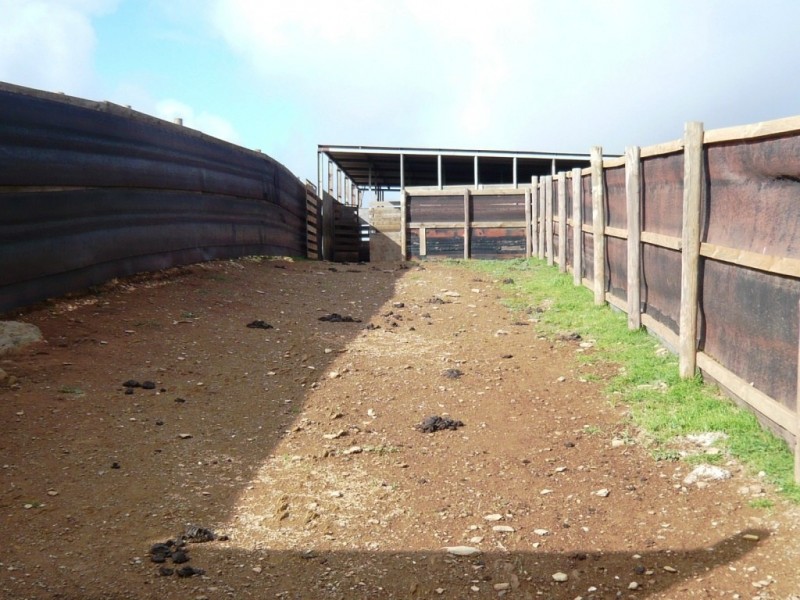 * 297.6ha Whitings 735.5acs, Jamestown SA 5491