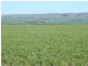 * 1208.56ha Karalee 2,986acs, Snowtown SA 5520