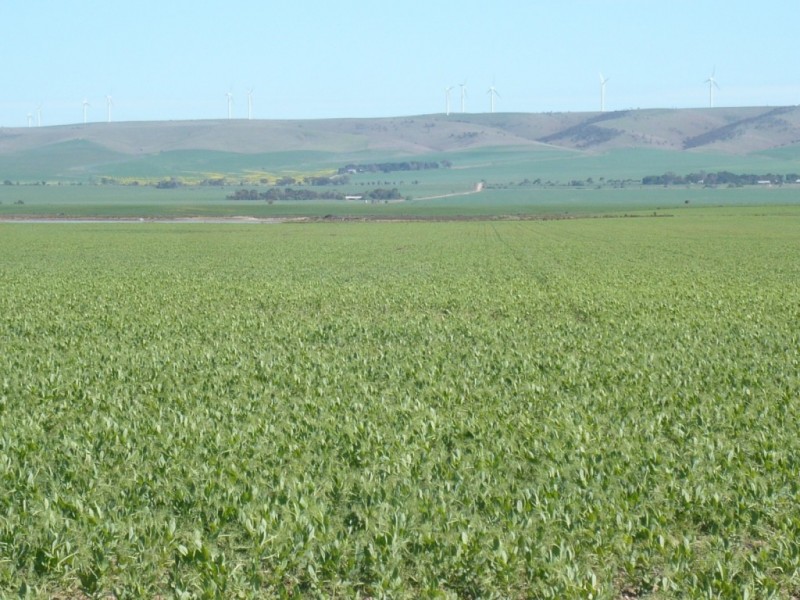 * 1208.56ha Karalee 2,986acs, Snowtown SA 5520