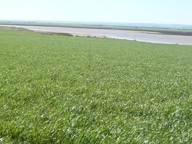 * 1208.56ha Karalee 2,986acs, Snowtown SA 5520