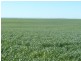 * 1208.56ha Karalee 2,986acs, Snowtown SA 5520