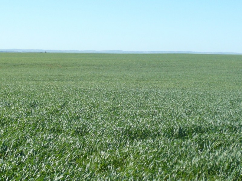 * 1208.56ha Karalee 2,986acs, Snowtown SA 5520