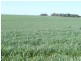* 1208.56ha Karalee 2,986acs, Snowtown SA 5520