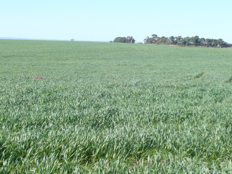 * 1208.56ha Karalee 2,986acs, Snowtown SA 5520