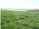 * 1208.56ha Karalee 2,986acs, Snowtown SA 5520