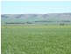 * 1208.56ha Karalee 2,986acs, Snowtown SA 5520