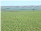 * 1208.56ha Karalee 2,986acs, Snowtown SA 5520