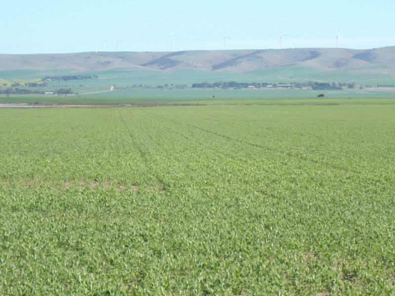 * 1208.56ha Karalee 2,986acs, Snowtown SA 5520