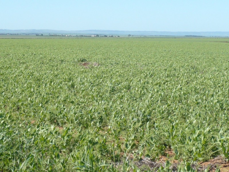 * 1208.56ha Karalee 2,986acs, Snowtown SA 5520