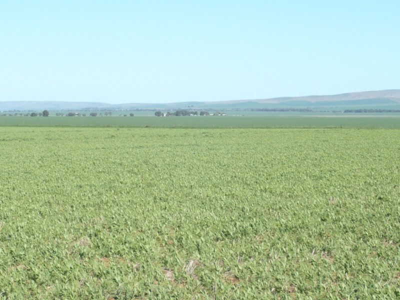 * 1208.56ha Karalee 2,986acs, Snowtown SA 5520