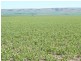 * 1208.56ha Karalee 2,986acs, Snowtown SA 5520