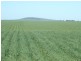 * 1208.56ha Karalee 2,986acs, Snowtown SA 5520