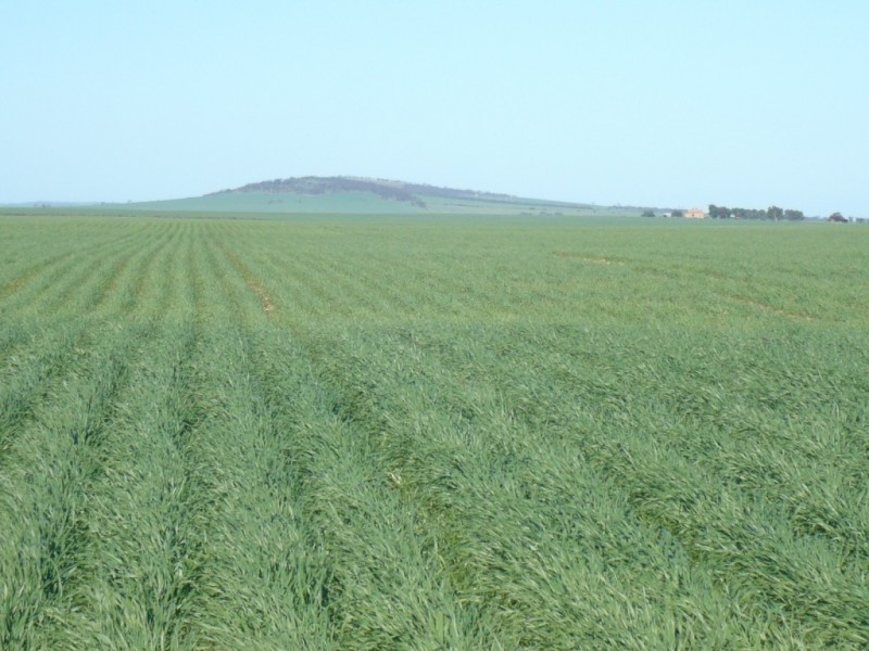 * 1208.56ha Karalee 2,986acs, Snowtown SA 5520