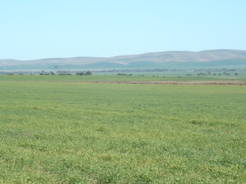 * 1208.56ha Karalee 2,986acs, Snowtown SA 5520