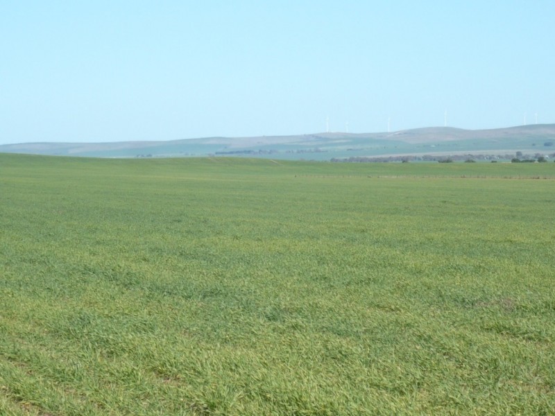 * 1208.56ha Karalee 2,986acs, Snowtown SA 5520