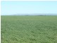* 1208.56ha Karalee 2,986acs, Snowtown SA 5520