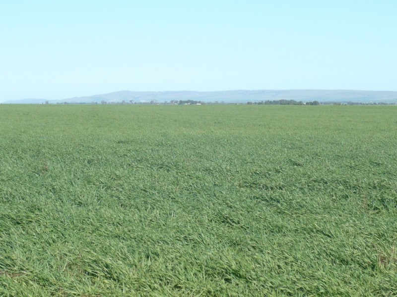 * 1208.56ha Karalee 2,986acs, Snowtown SA 5520