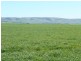 * 1208.56ha Karalee 2,986acs, Snowtown SA 5520