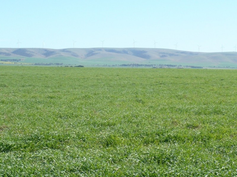 * 1208.56ha Karalee 2,986acs, Snowtown SA 5520