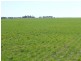 * 1208.56ha Karalee 2,986acs, Snowtown SA 5520