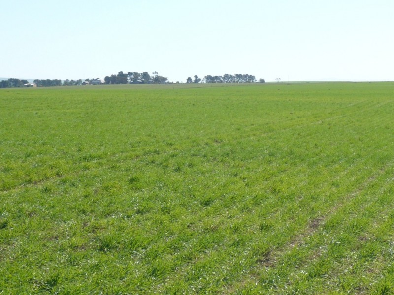 * 1208.56ha Karalee 2,986acs, Snowtown SA 5520