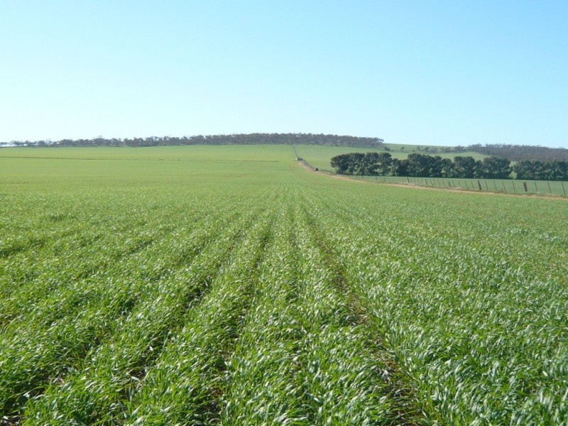 * 1208.56ha Karalee 2,986acs, Snowtown SA 5520