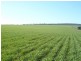 * 1208.56ha Karalee 2,986acs, Snowtown SA 5520