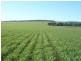 * 1208.56ha Karalee 2,986acs, Snowtown SA 5520