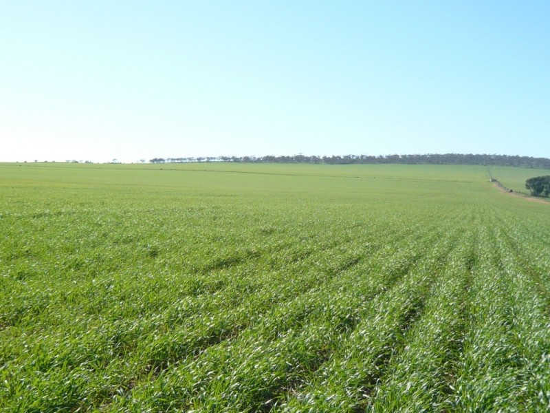 * 1208.56ha Karalee 2,986acs, Snowtown SA 5520