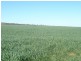 * 1208.56ha Karalee 2,986acs, Snowtown SA 5520