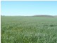 * 1208.56ha Karalee 2,986acs, Snowtown SA 5520