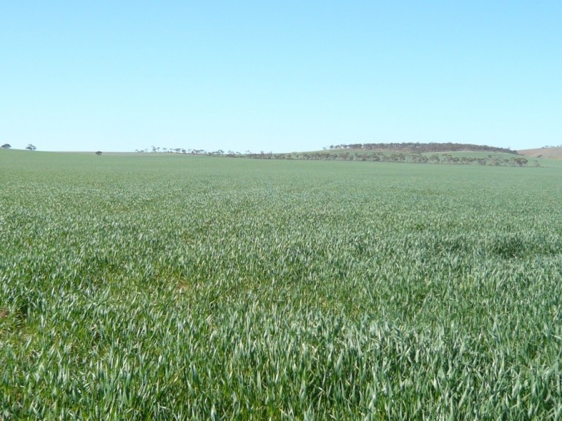 * 1208.56ha Karalee 2,986acs, Snowtown SA 5520