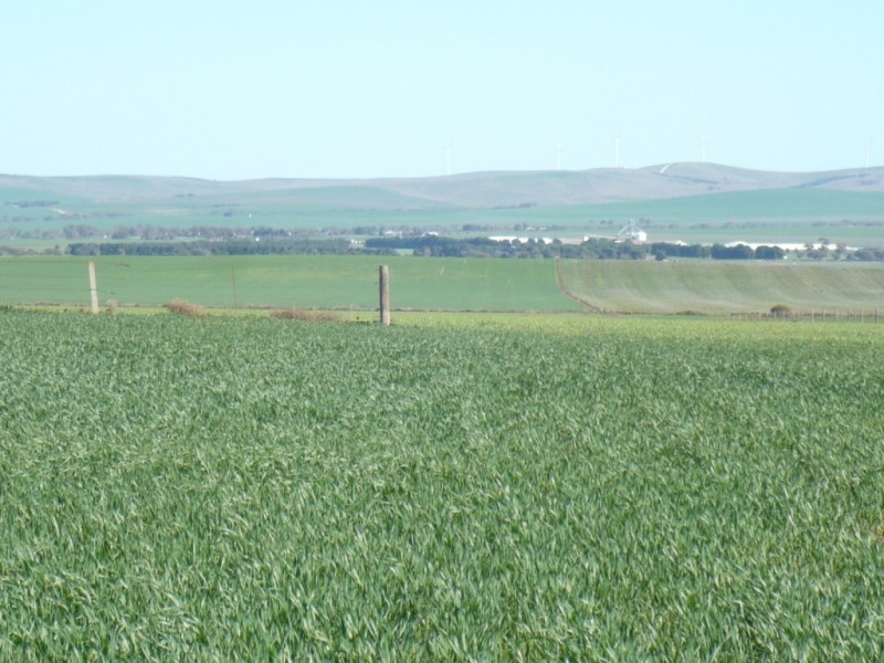 * 1208.56ha Karalee 2,986acs, Snowtown SA 5520