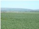* 1208.56ha Karalee 2,986acs, Snowtown SA 5520