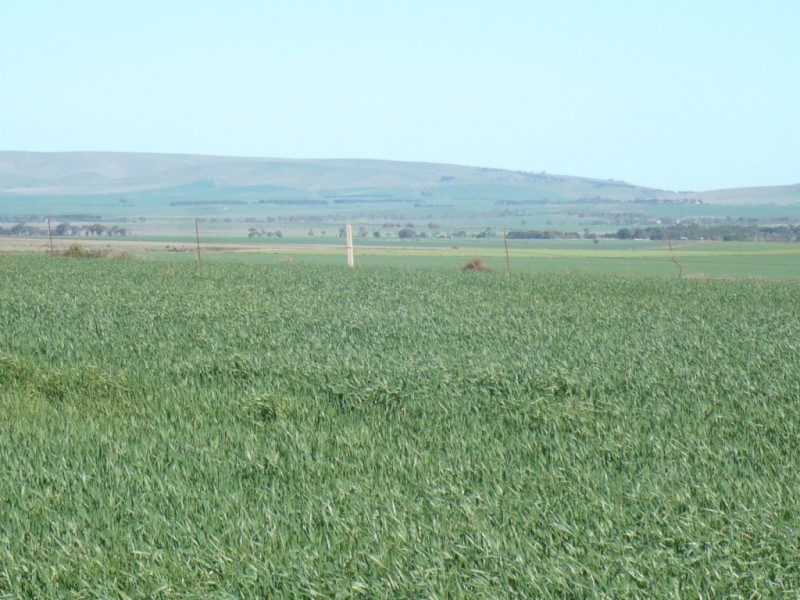 * 1208.56ha Karalee 2,986acs, Snowtown SA 5520