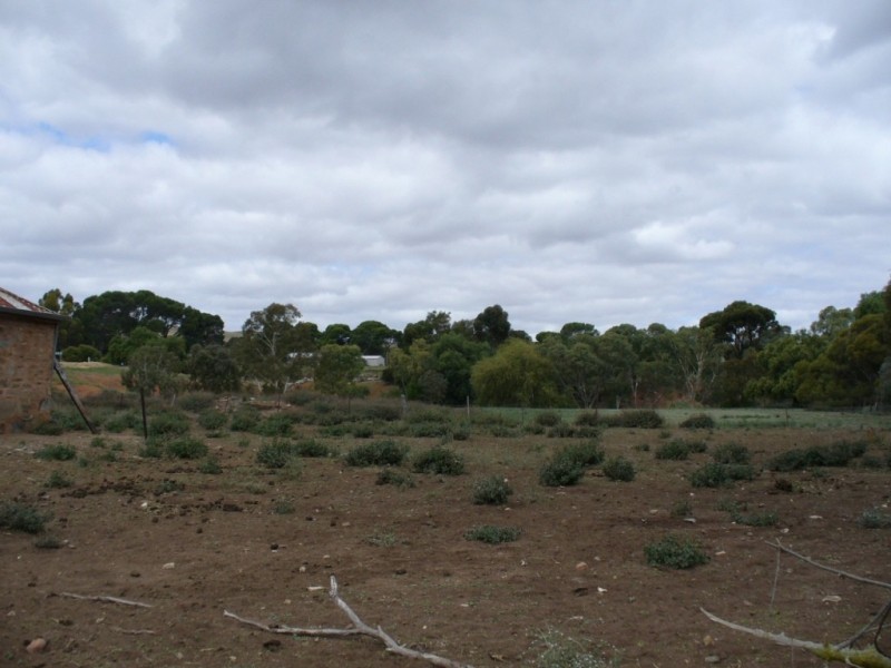 Lot 283 Allen Street, Burra SA 5417