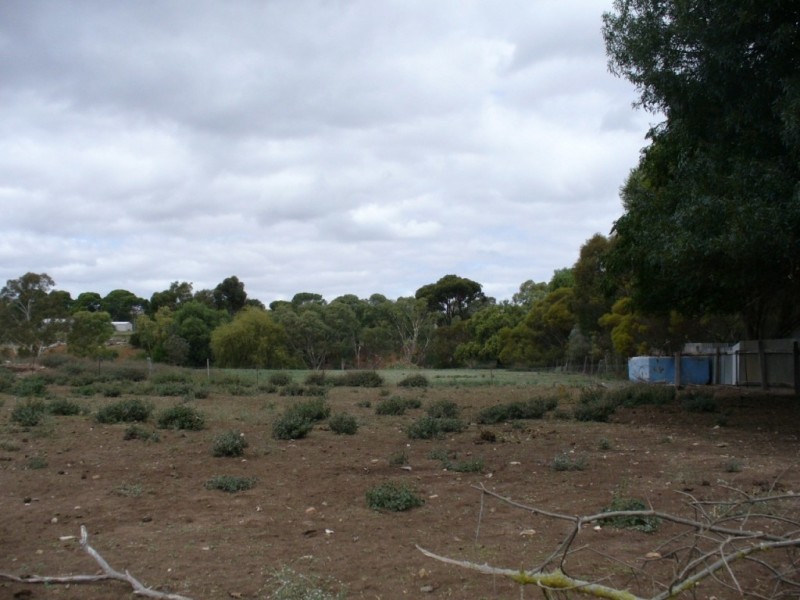 Lot 283 Allen Street, Burra SA 5417