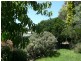 161 Main North Road, Clare SA 5453