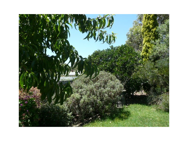 161 Main North Road, Clare SA 5453