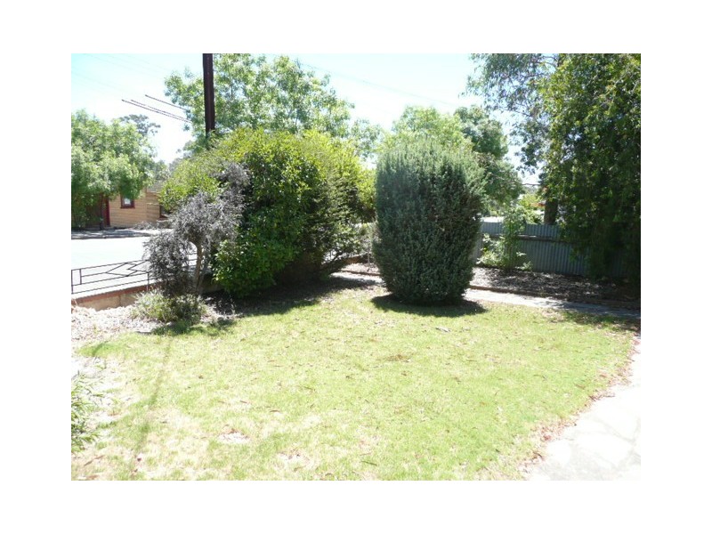 161 Main North Road, Clare SA 5453