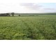 * Powerline Road, Gladstone SA 5473