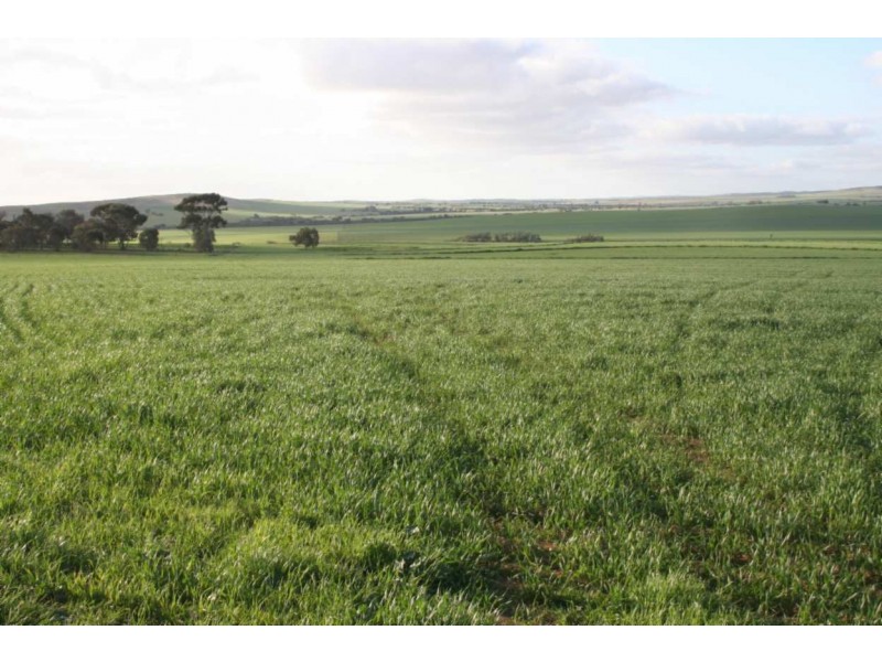 * Powerline Road, Gladstone SA 5473