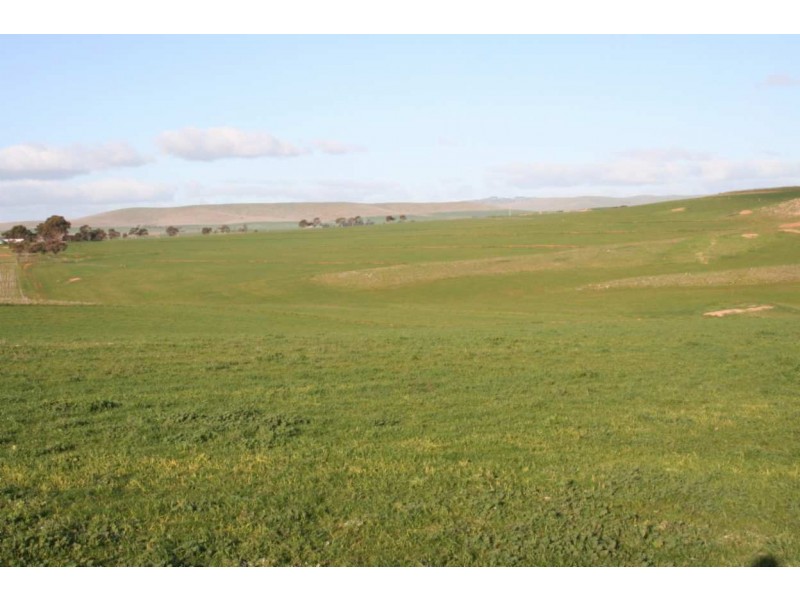 * Powerline Road, Gladstone SA 5473